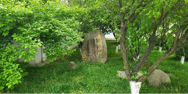 大香蕉精品视频塑业再次被客户评定为“A级供应商”