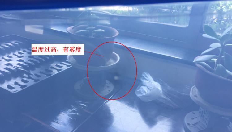 注塑制品质量缺陷分析（六）造成制品表面有雾度的主要原因是什么？