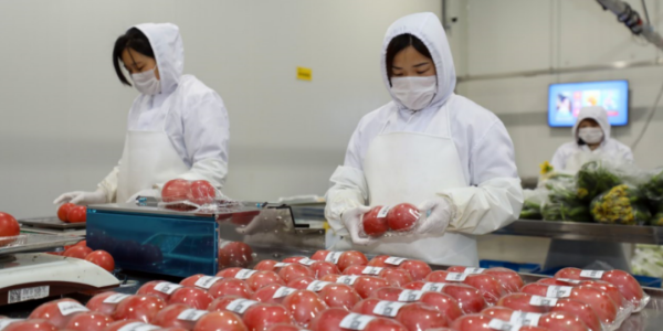 苏宁冷链完成270城覆盖并全面开放