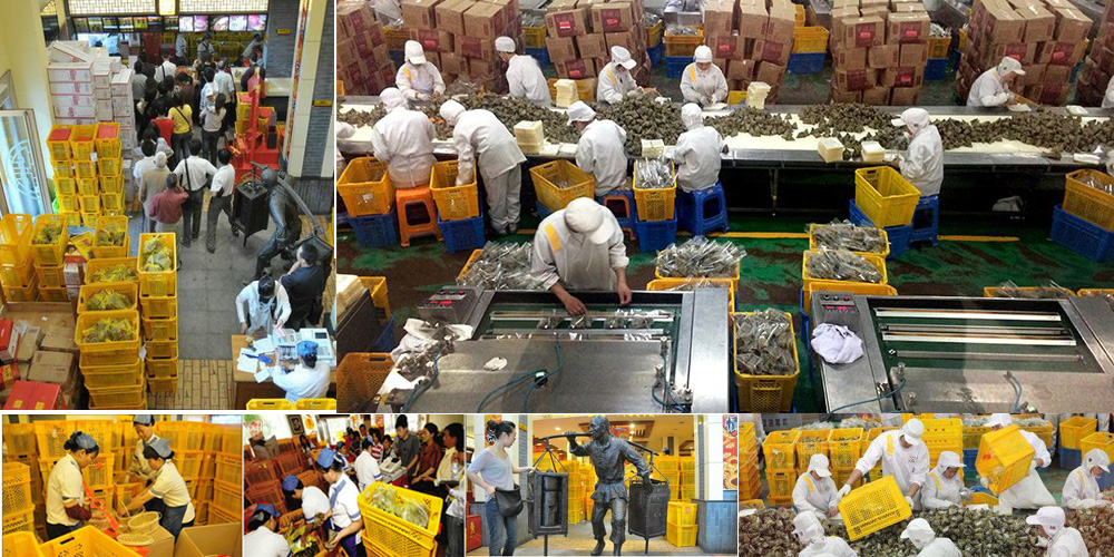 大香蕉精品视频为嘉兴五芳斋集团提供粽子专用91香蕉视频IOS下载周转箱